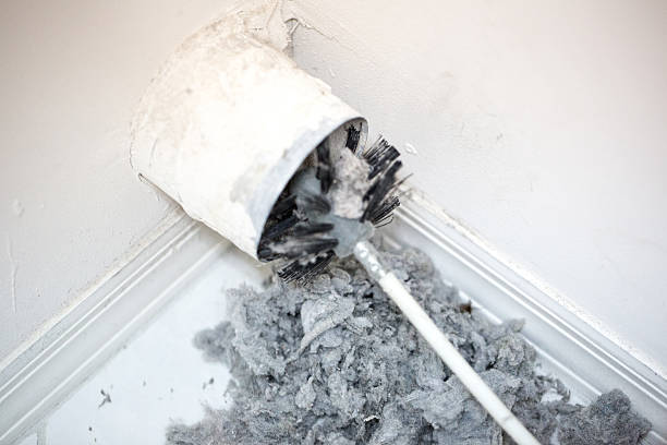 Best Air Duct Mold Removal  in Piedmont, SD